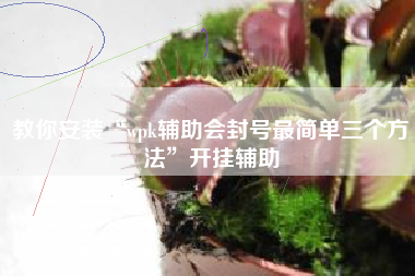 教你安装“wpk辅助会封号最简单三个方法”开挂辅助