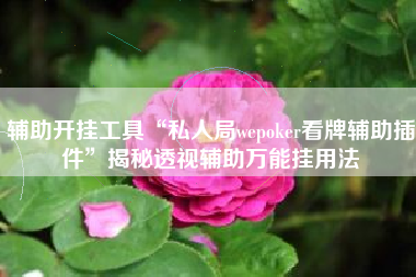 辅助开挂工具“私人局wepoker看牌辅助插件”揭秘透视辅助万能挂用法