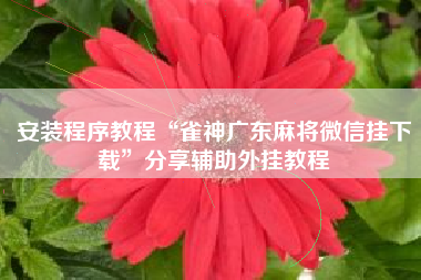 安装程序教程“雀神广东麻将微信挂下载	”分享辅助外挂教程