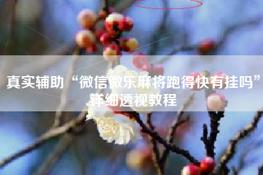 真实辅助“微信微乐麻将跑得快有挂吗”详细透视教程