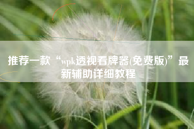 推荐一款“wpk透视看牌器(免费版)	”最新辅助详细教程