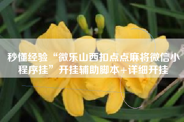 秒懂经验“微乐山西扣点点麻将微信小程序挂	”开挂辅助脚本+详细开挂