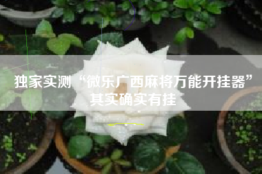 独家实测“微乐广西麻将万能开挂器”其实确实有挂