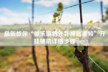 最新教你“微乐麻将外卦神器视频”开挂辅助详细步骤