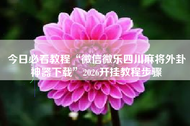 今日必看教程“微信微乐四川麻将外卦神器下载	”2026开挂教程步骤