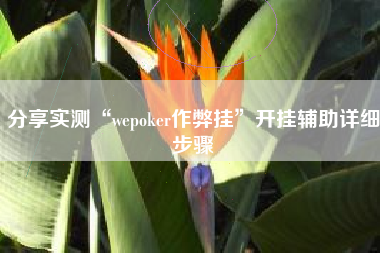 分享实测“wepoker作弊挂”开挂辅助详细步骤