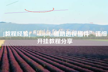 [教程经验]“waapoke辅助透视插件	”详细开挂教程分享