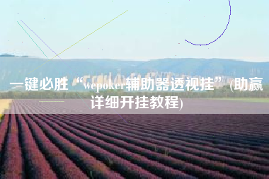 一键必胜“wepoker辅助器透视挂	”(助赢详细开挂教程)