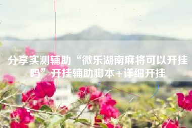 分享实测辅助“微乐湖南麻将可以开挂吗”开挂辅助脚本+详细开挂