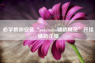 必学教你安装“pokemmo辅助精灵”开挂辅助详细