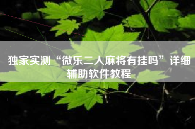 独家实测“微乐二人麻将有挂吗	”详细辅助软件教程