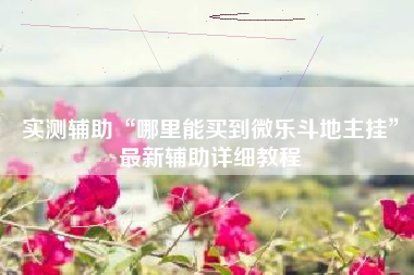 实测辅助“哪里能买到微乐斗地主挂	”最新辅助详细教程