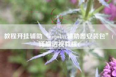 教程开挂辅助“wepoker辅助器安装包	”(详细透视教程)