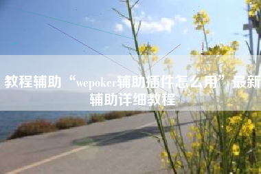 教程辅助“wepoker辅助插件怎么用	”最新辅助详细教程