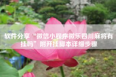 软件分享“微信小程序微乐四川麻将有挂吗	”附开挂脚本详细步骤