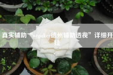 真实辅助“wepoker德州辅助透视	”详细开挂
