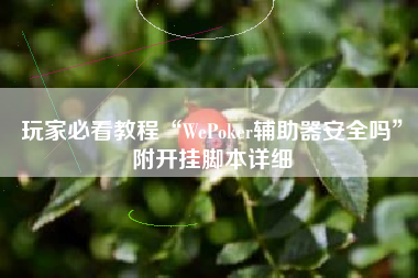 玩家必看教程“WePoker辅助器安全吗”附开挂脚本详细