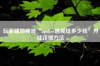 玩家辅助神器“apoker透视挂多少钱	”开挂详细方法