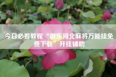 今日必看教程“微乐河北麻将万能挂免费下载	”开挂辅助