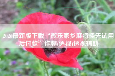 2026最新版下载“微乐家乡麻将挂先试用后付款”作弊(透视)透视辅助