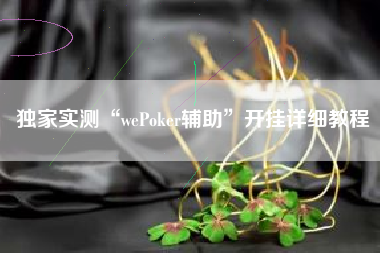 独家实测“wePoker辅助”开挂详细教程
