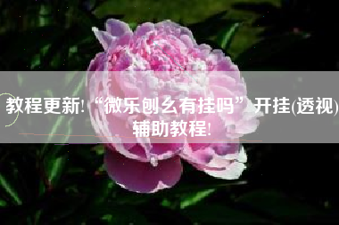 教程更新!“微乐刨幺有挂吗”开挂(透视)辅助教程!