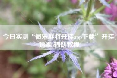 今日实测“微乐麻将开挂app下载	”开挂(透视)辅助教程
