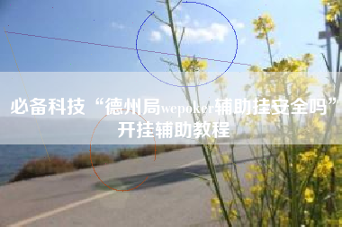 必备科技“德州局wepoker辅助挂安全吗	”开挂辅助教程