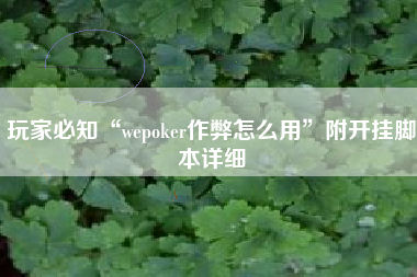 玩家必知“wepoker作弊怎么用”附开挂脚本详细