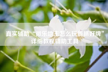 真实辅助“微乐地主怎么玩能抓好牌”详细教程辅助工具