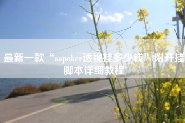 最新一款“aapoker透视挂多少钱	”附开挂脚本详细教程