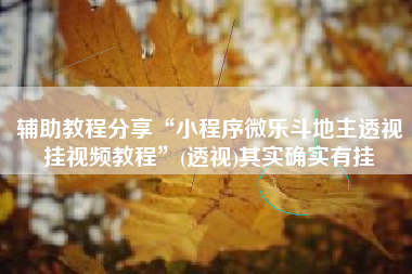 辅助教程分享“小程序微乐斗地主透视挂视频教程”(透视)其实确实有挂