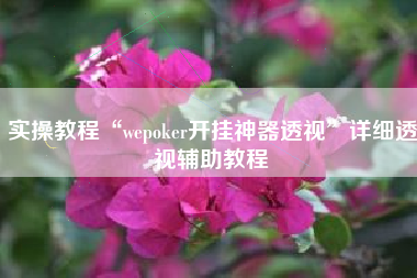 实操教程“wepoker开挂神器透视	”详细透视辅助教程