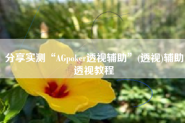 分享实测“AGpoker透视辅助	”(透视)辅助透视教程