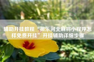 辅助开挂教程“微乐河北麻将小程序怎样免费开挂”开挂辅助详细步骤