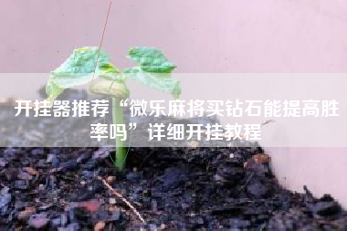 开挂器推荐“微乐麻将买钻石能提高胜率吗”详细开挂教程