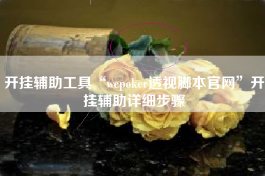 开挂辅助工具“wepoker透视脚本官网”开挂辅助详细步骤