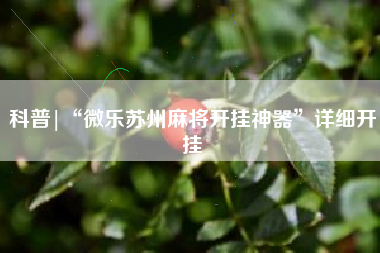 科普|“微乐苏州麻将开挂神器	”详细开挂