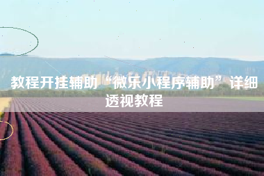 教程开挂辅助“微乐小程序辅助	”详细透视教程