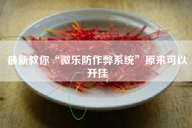 最新教你“微乐防作弊系统	”原来可以开挂