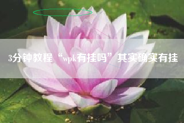3分钟教程“wpk有挂吗”其实确实有挂