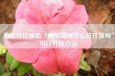 万能开挂辅助“微乐房间怎么开挂视频	”可以开挂方法