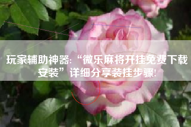 玩家辅助神器:“微乐麻将开挂免费下载安装”详细分享装挂步骤!