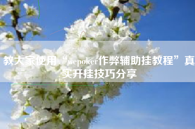 教大家使用“wepoker作弊辅助挂教程”真实开挂技巧分享