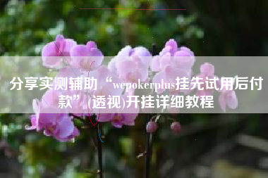 分享实测辅助“wepokerplus挂先试用后付款”(透视)开挂详细教程