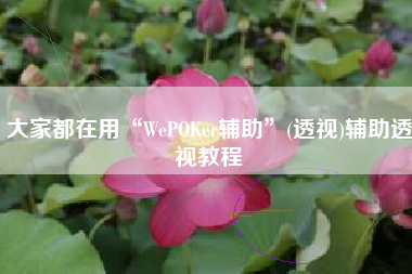 大家都在用“WePOKer辅助	”(透视)辅助透视教程