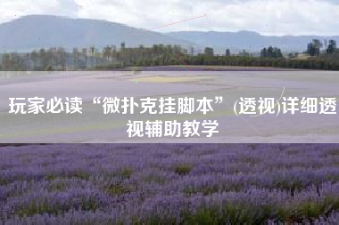 玩家必读“微扑克挂脚本”(透视)详细透视辅助教学