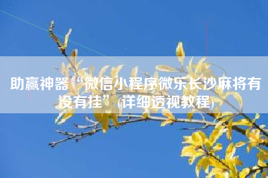 助赢神器“微信小程序微乐长沙麻将有没有挂”(详细透视教程)