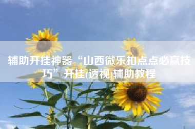 辅助开挂神器“山西微乐扣点点必赢技巧”开挂(透视)辅助教程