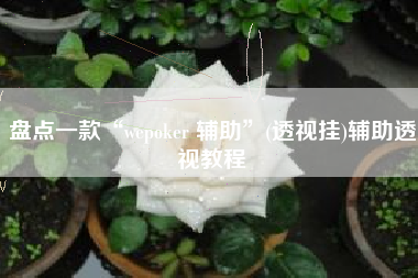 盘点一款“wepoker 辅助	”(透视挂)辅助透视教程
